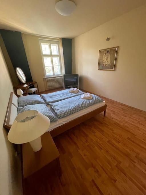 Huge Two Floor Apartment On The Park Colonnade With Free Parking For One Car, 160 Sqm Карловы Вары Экстерьер фото